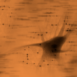 Peptides for Weight Loss