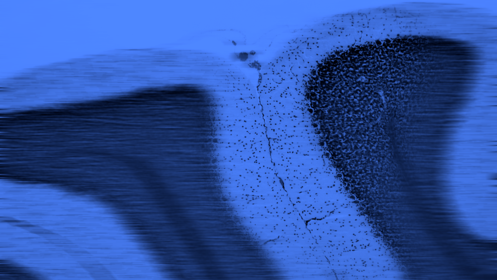 Abstract blue image with vertical crack, textured areas, and speckled patterns.
