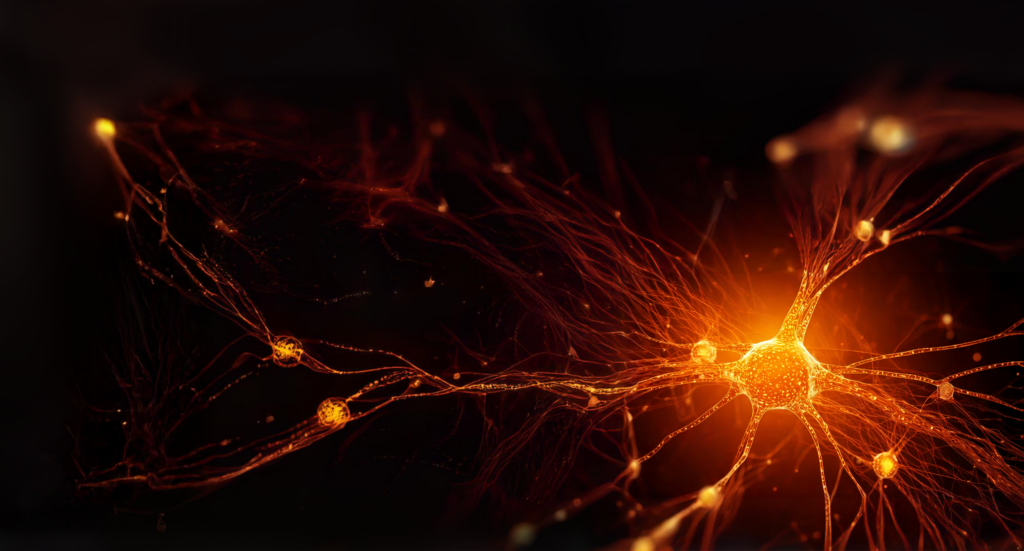 Glowing network of neurons in vivid orange and red against a dark background.