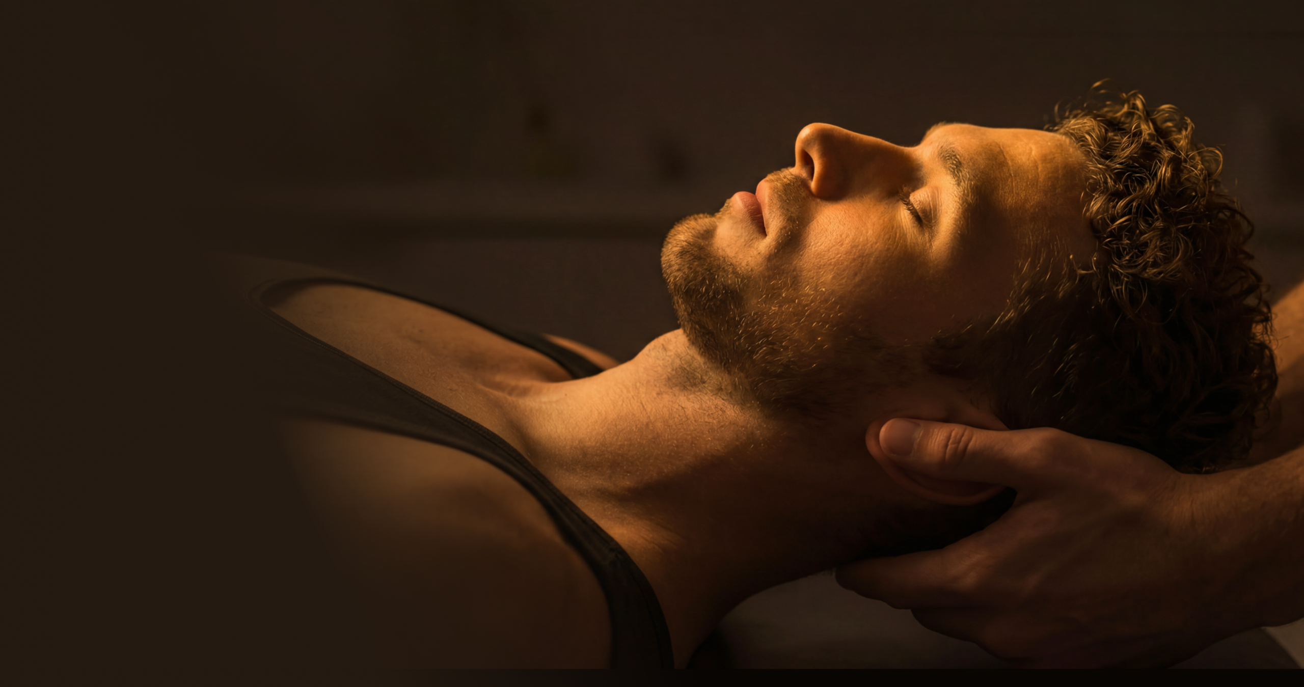 Regenerative Aesthetics